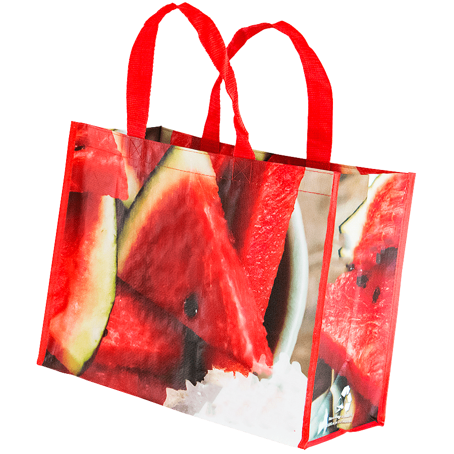 Karpuz Desenli Çanta